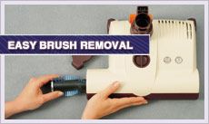 Brush Removal 