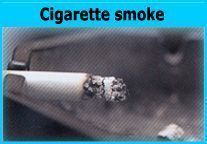 Cigarette Smoke